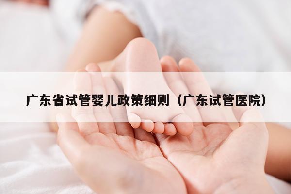 广东省试管婴儿政策细则（广东试管医院）