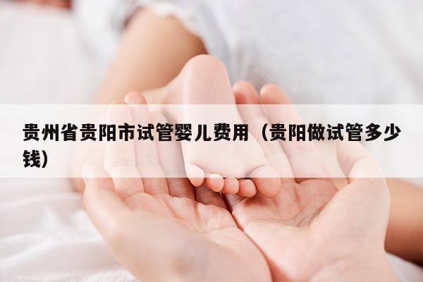 贵州省贵阳市试管婴儿费用（贵阳做试管多少钱）