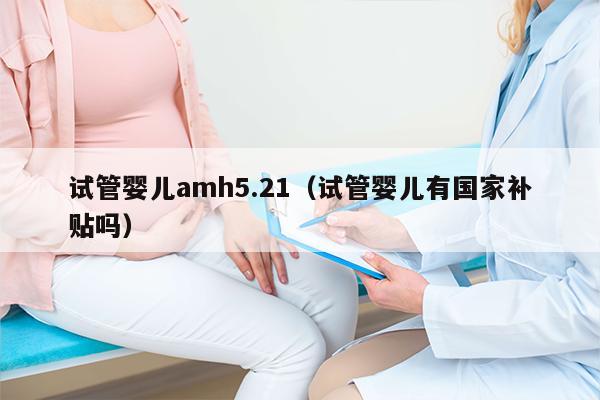 试管婴儿amh5.21（试管婴儿有国家补贴吗）