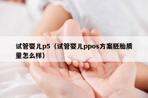 试管婴儿p5（试管婴儿ppos方案胚胎质量怎么样）