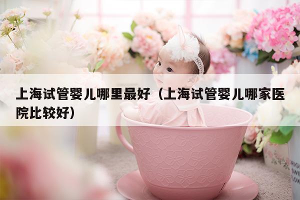 上海试管婴儿哪里最好（上海试管婴儿哪家医院比较好）