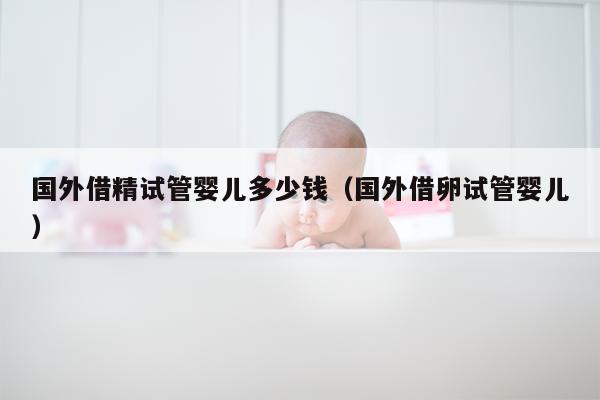 国外借精试管婴儿多少钱（国外借卵试管婴儿）