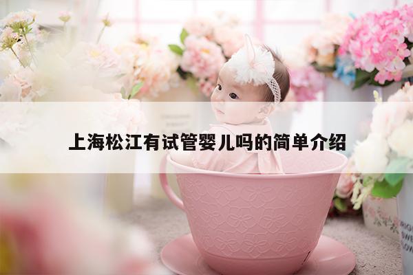 上海松江有试管婴儿吗的简单介绍