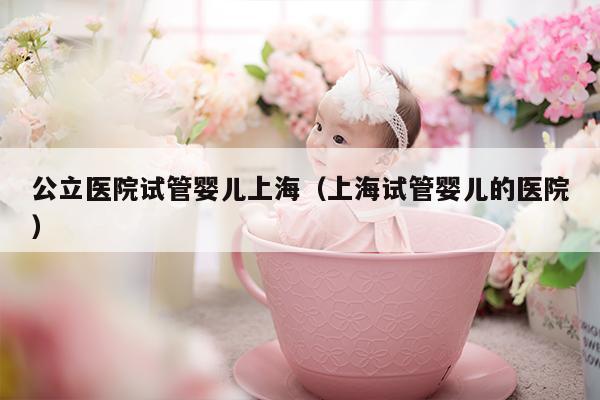 公立医院试管婴儿上海（上海试管婴儿的医院）