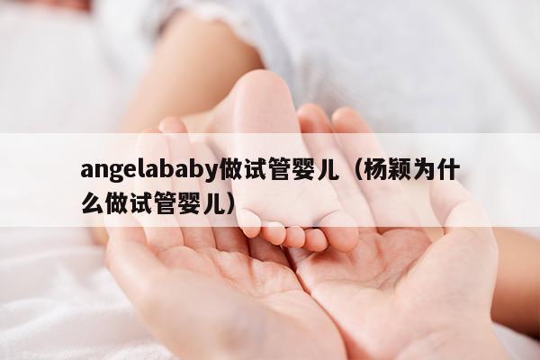 angelababy做试管婴儿（杨颖为什么做试管婴儿）