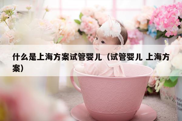 什么是上海方案试管婴儿（试管婴儿 上海方案）