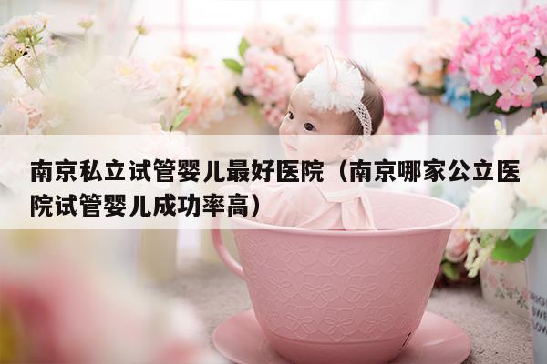南京私立试管婴儿最好医院（南京哪家公立医院试管婴儿成功率高）